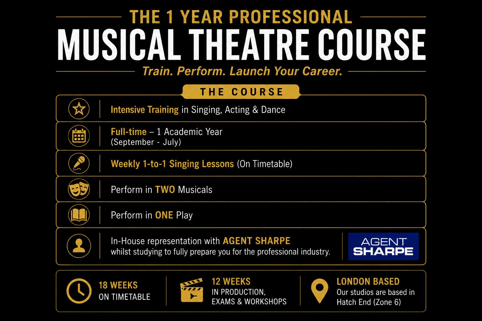 1 Year Professional Musical Theatre Course